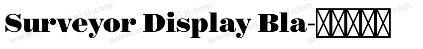 Surveyor Display Bla字体转换